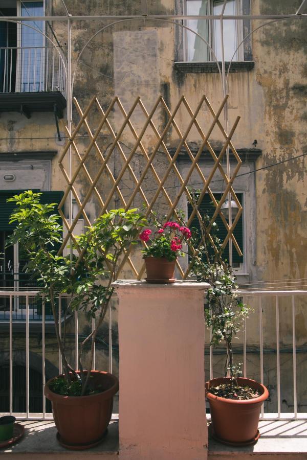 Apartamento La Casa Del Nespolo, 2 Terrazzi E 2 Bagni In Centro *