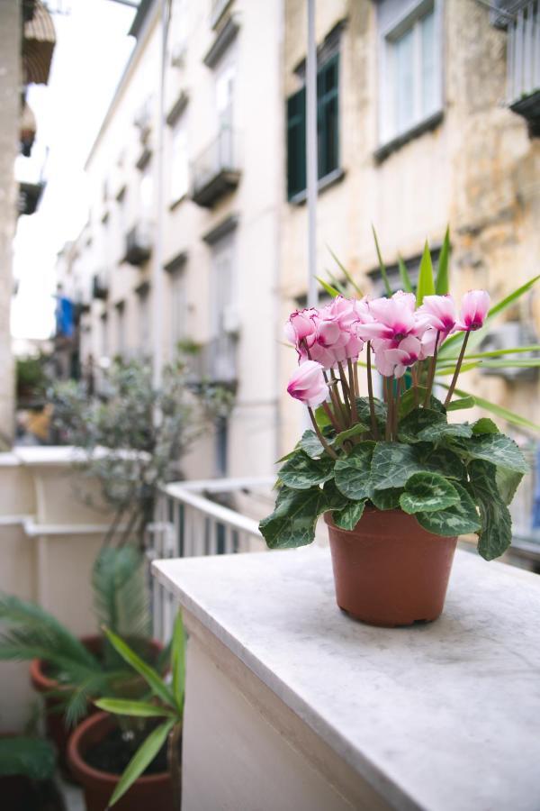 Apartamento La Casa Del Nespolo, 2 Terrazzi E 2 Bagni In Centro